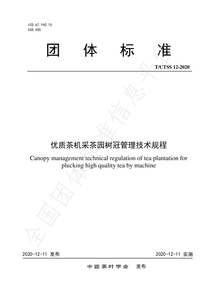 T/CTSS 12-2020 标准预览