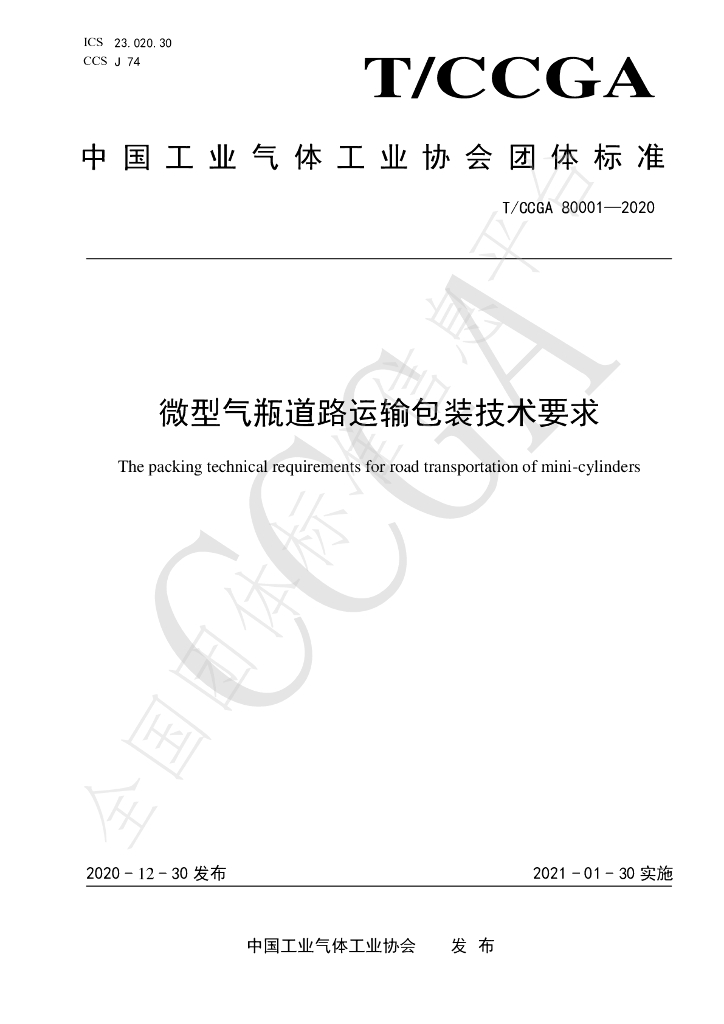 T/CCGA 80001-2020 标准预览