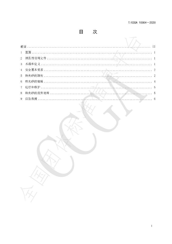 T/CCGA 10004-2020 标准预览