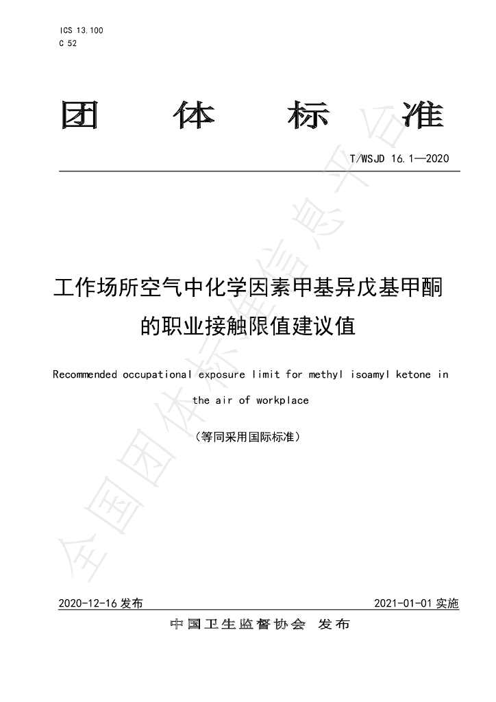 T/WSJD 16.1-2020 标准预览