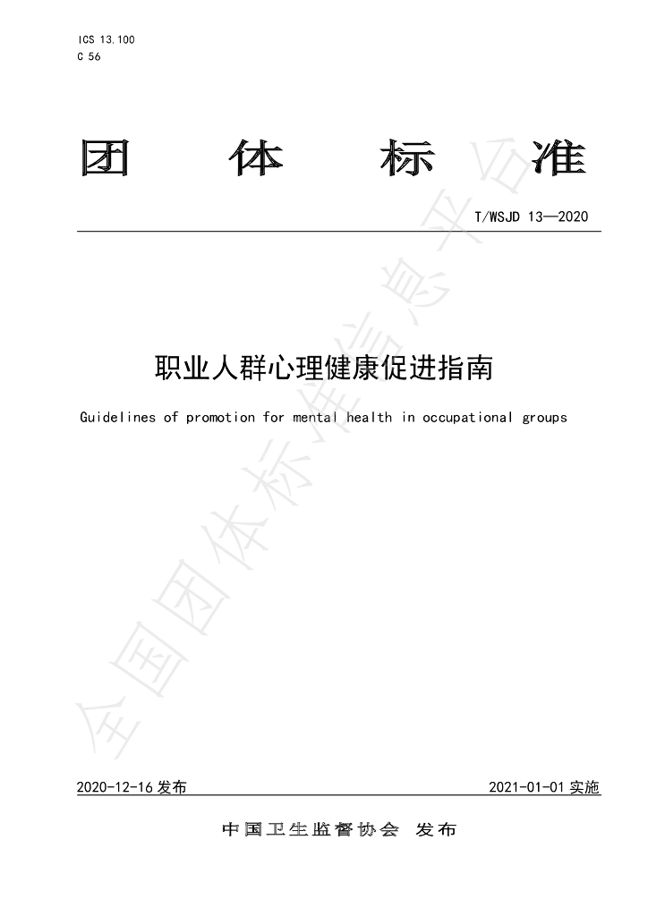 T/WSJD 13-2020 标准预览