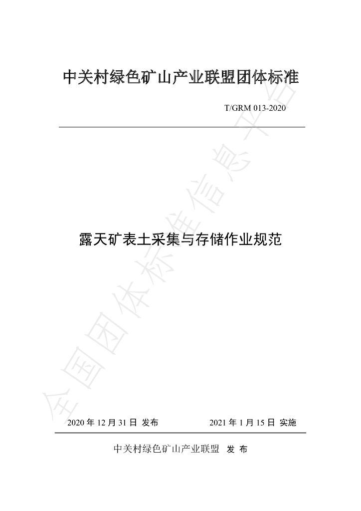 T/GRM 013-2020 标准预览