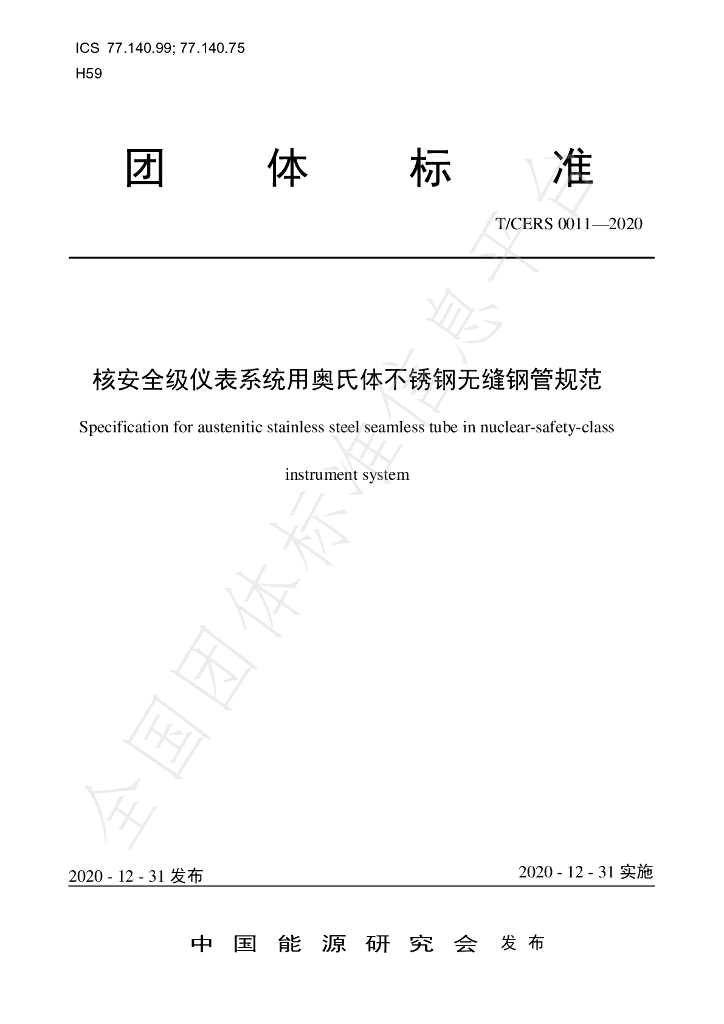 T/CERS 0011-2020 标准预览