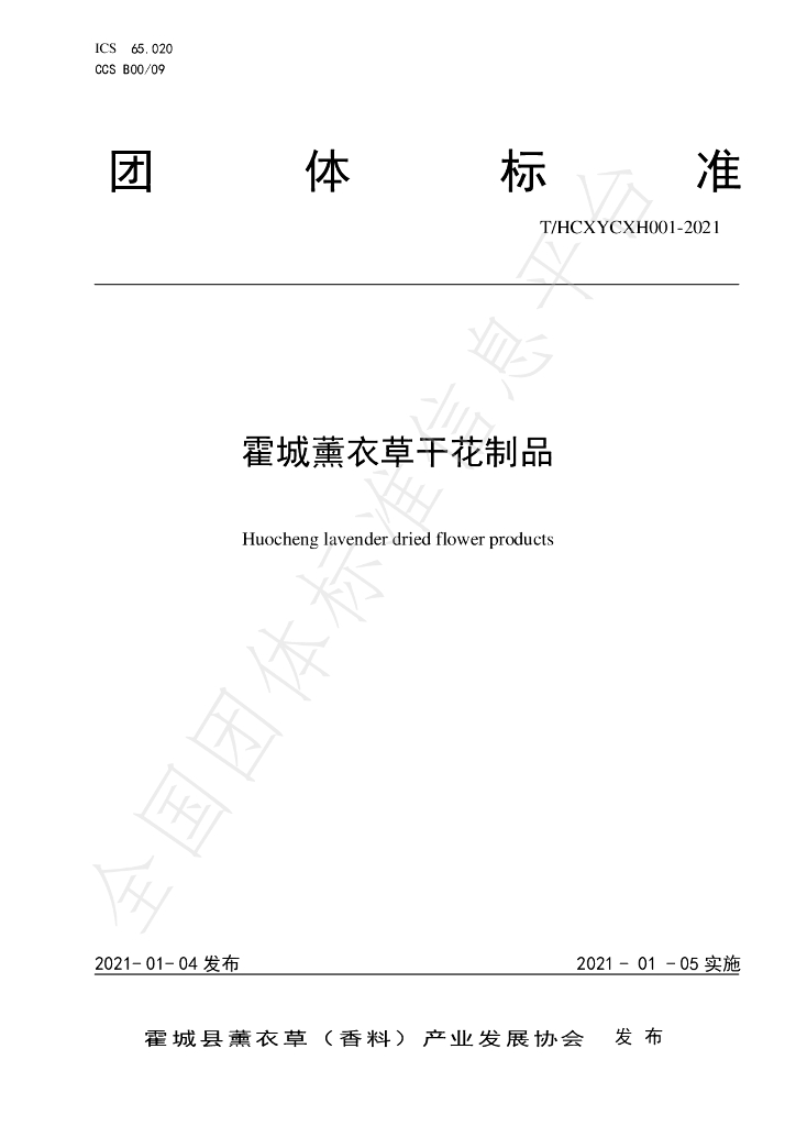T/HCXYCXH 001-2021 标准预览