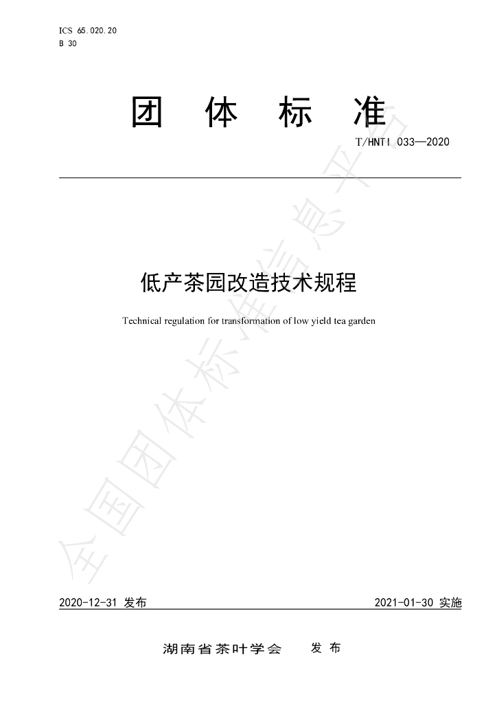 T/HNTI 033-2020 标准预览