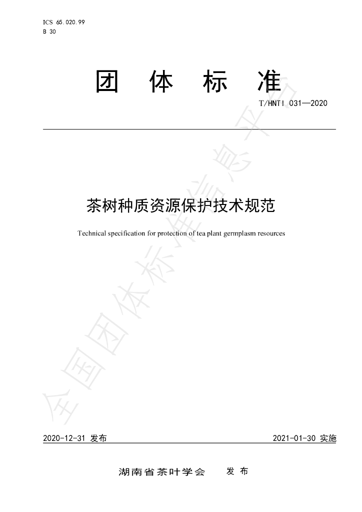 T/HNTI 031-2020 标准预览