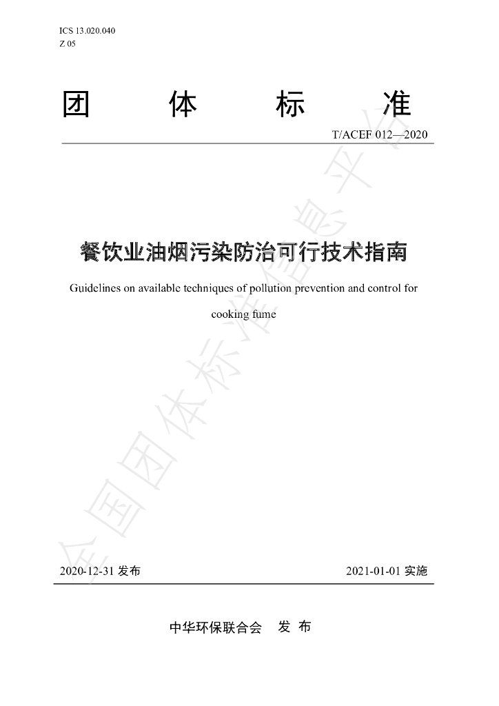 T/ACEF 012-2020 标准预览