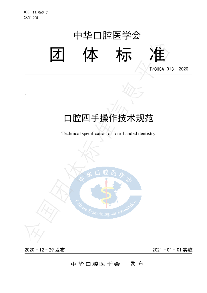 T/CHSA 013-2020 标准预览