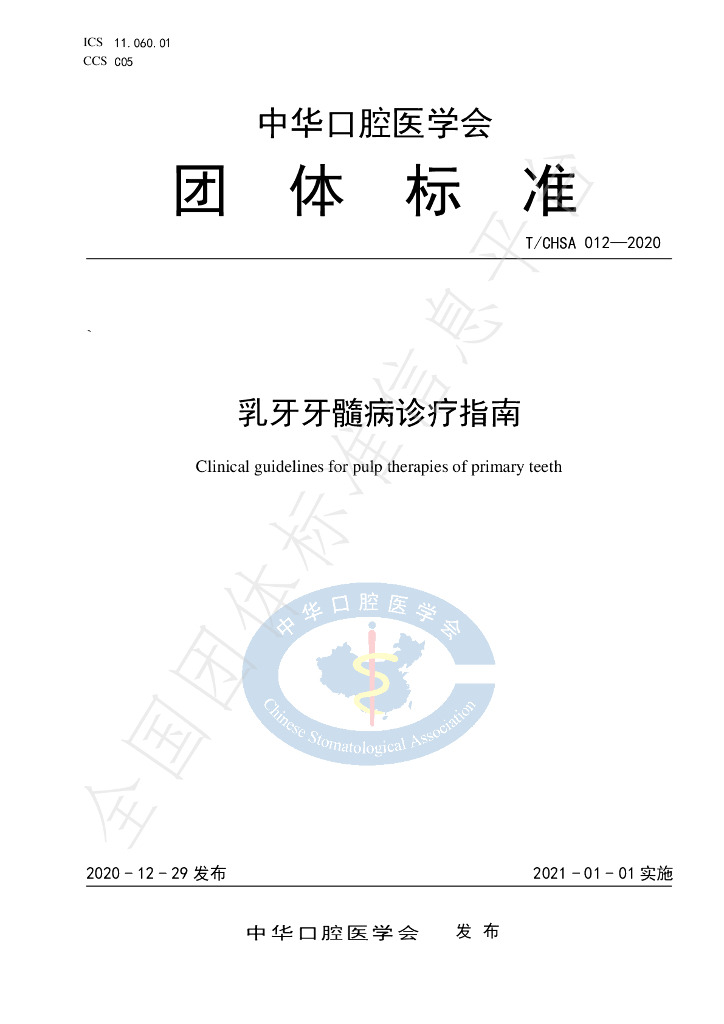 T/CHSA 012-2020 标准预览