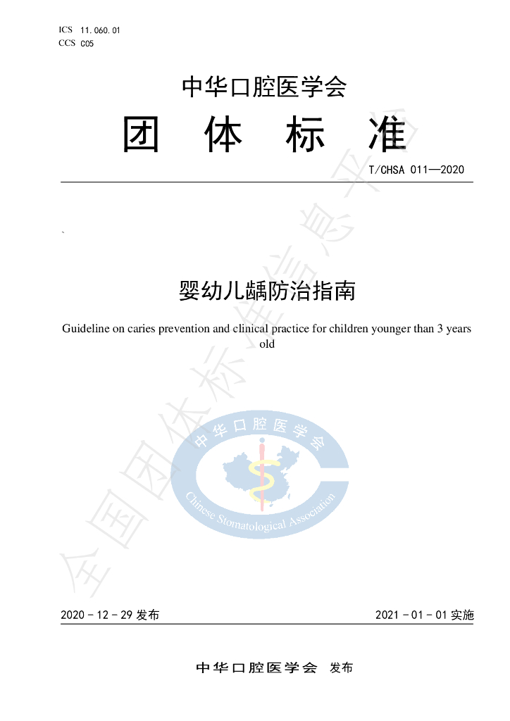 T/CHSA 011-2020 标准预览