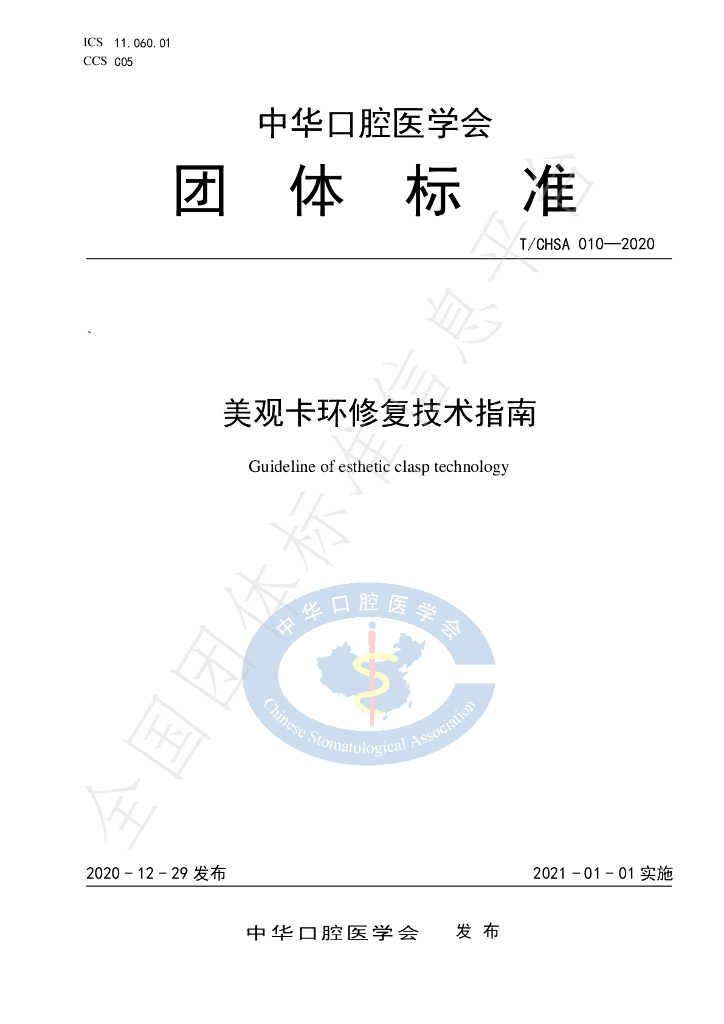 T/CHSA 010-2020 标准预览