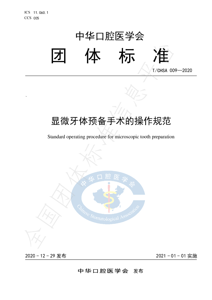 T/CHSA 009-2020 标准预览