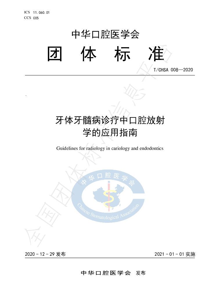 T/CHSA 008-2020 标准预览