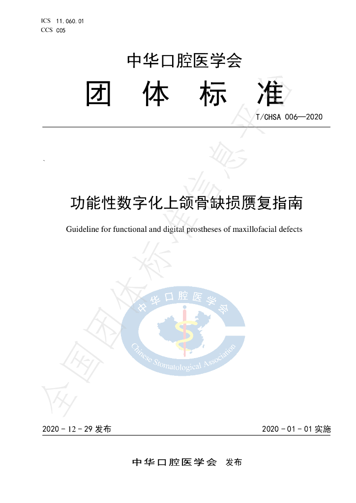 T/CHSA 006-2020 标准预览