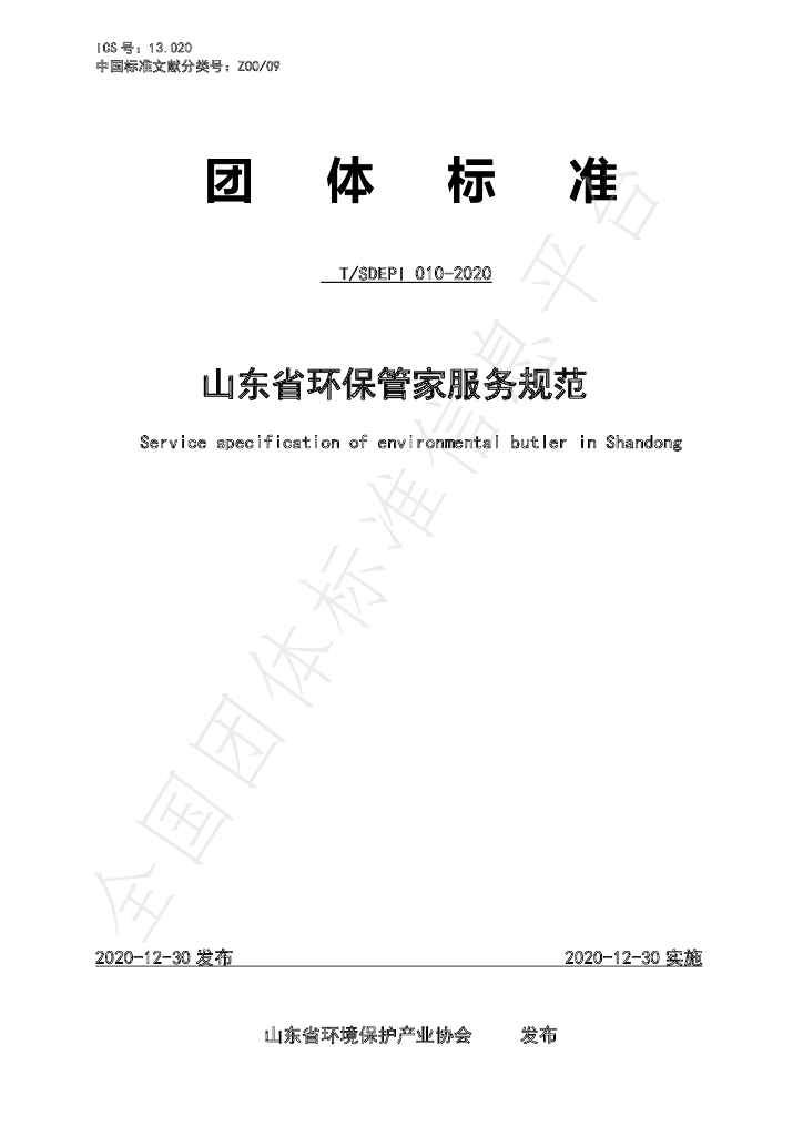 T/SDEPI 010-2020 标准预览
