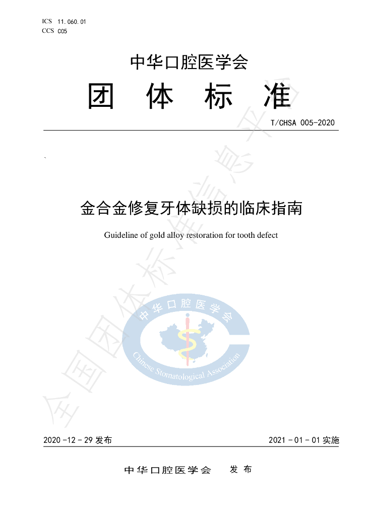 T/CHSA 005-2020 标准预览