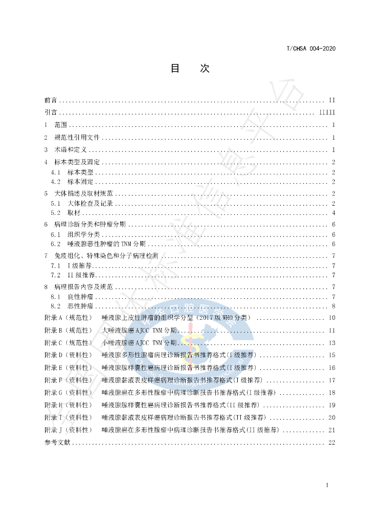 T/CHSA 004-2020 标准预览