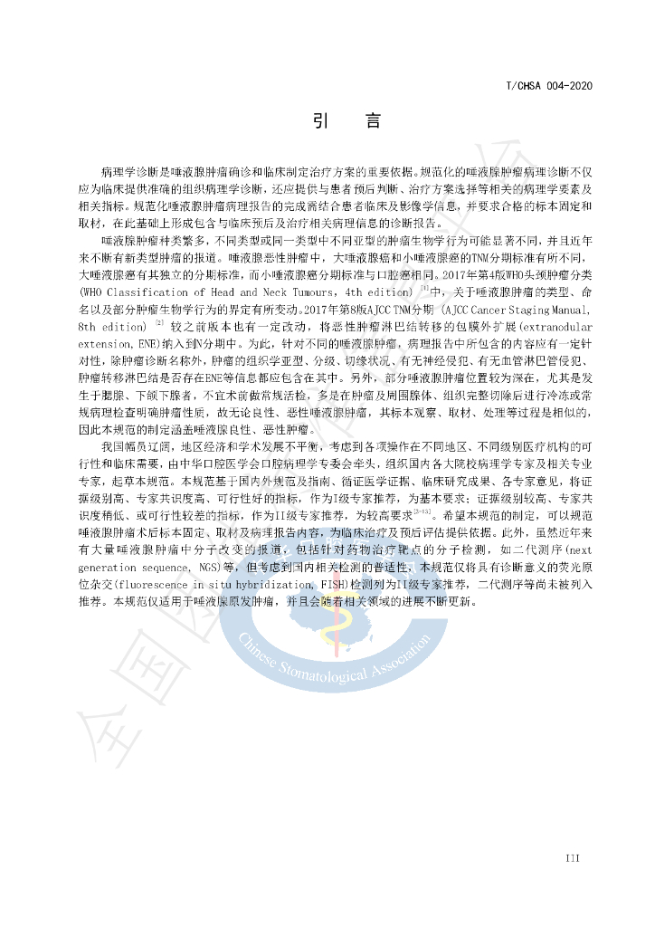 T/CHSA 004-2020 标准预览