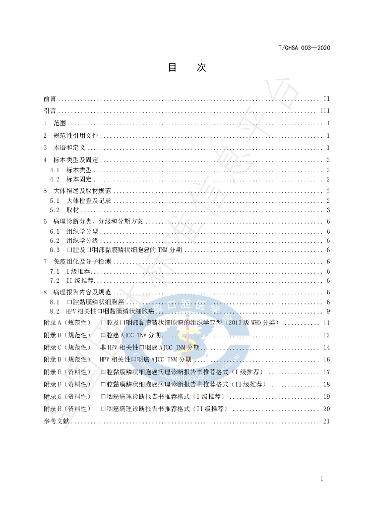 T/CHSA 003-2020 标准预览