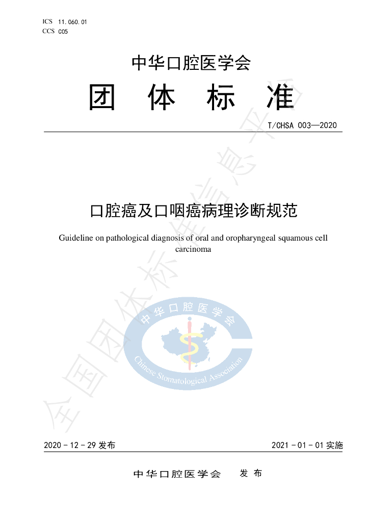 T/CHSA 003-2020 标准预览