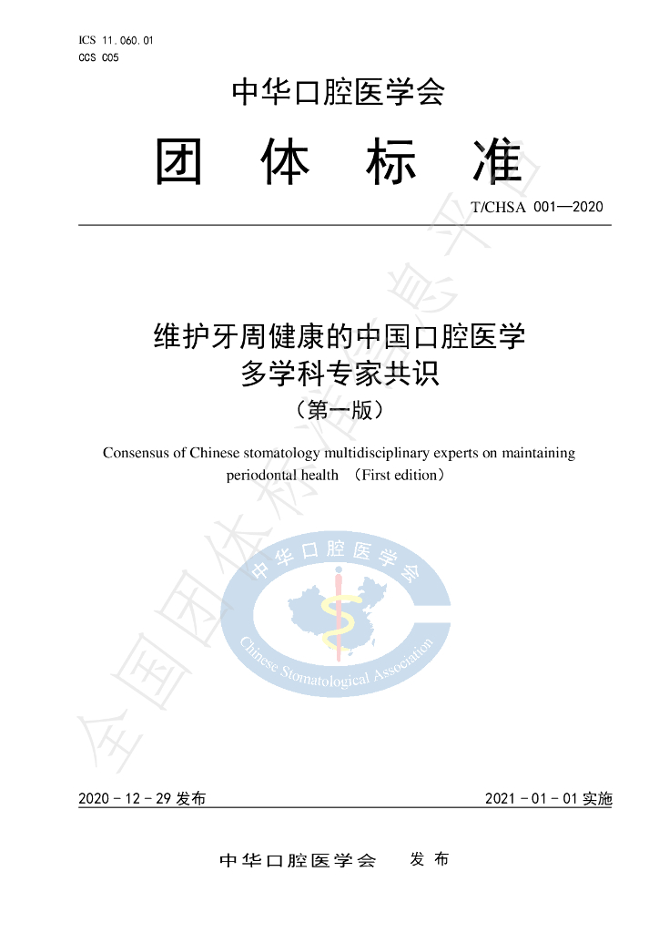 T/CHSA 001-2020 标准预览