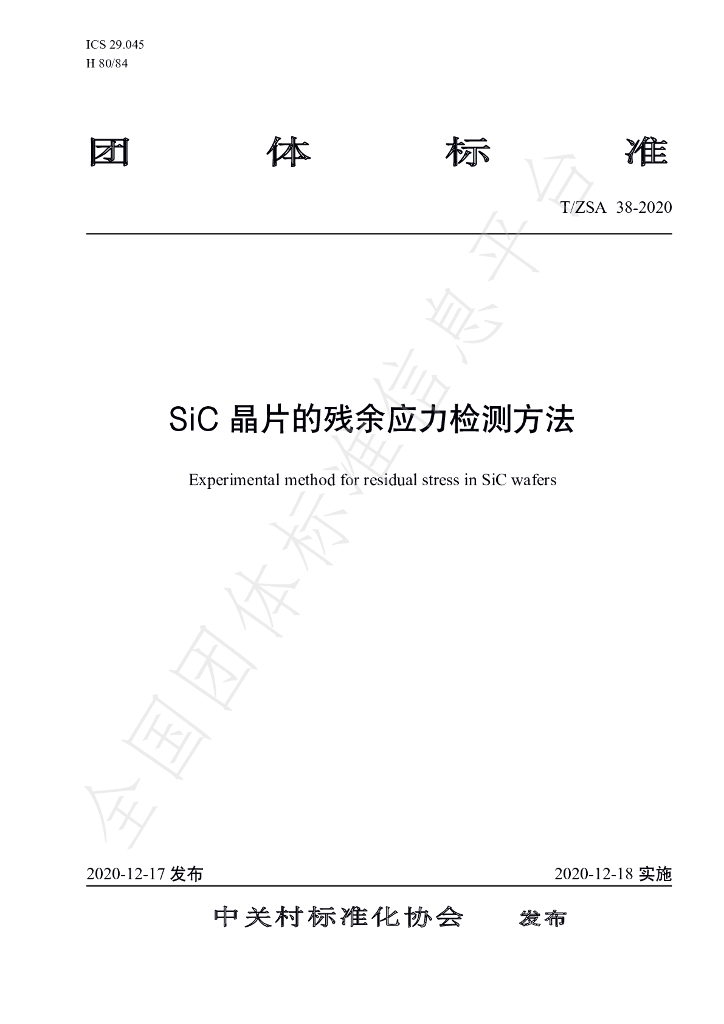 T/ZSA 38-2020 标准预览