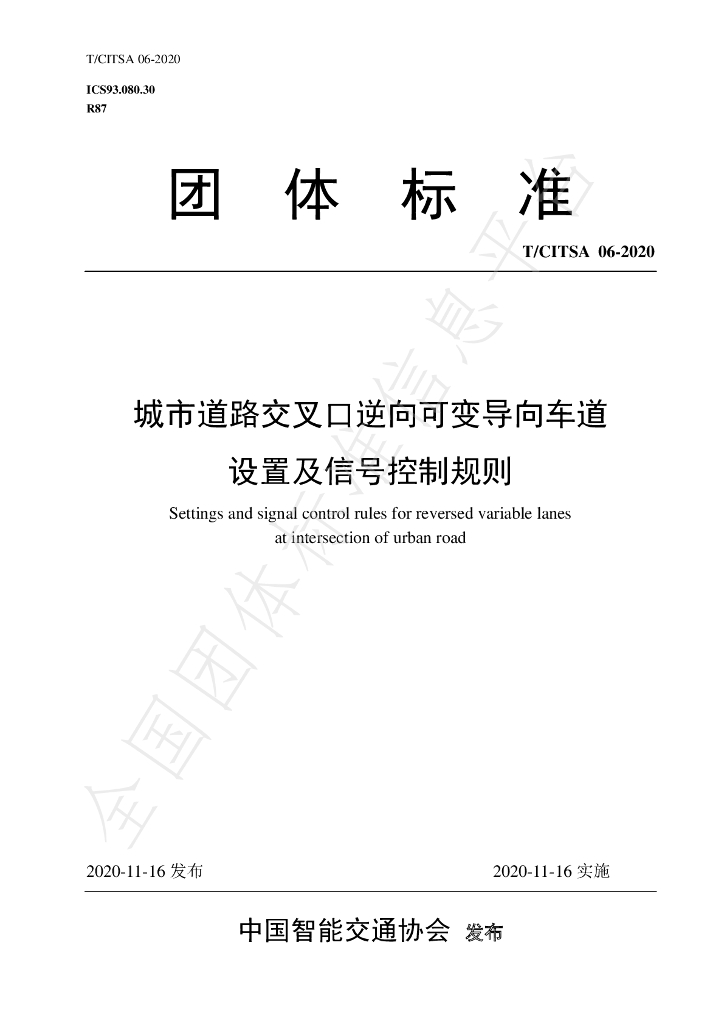T/CITSA 06-2020 标准预览