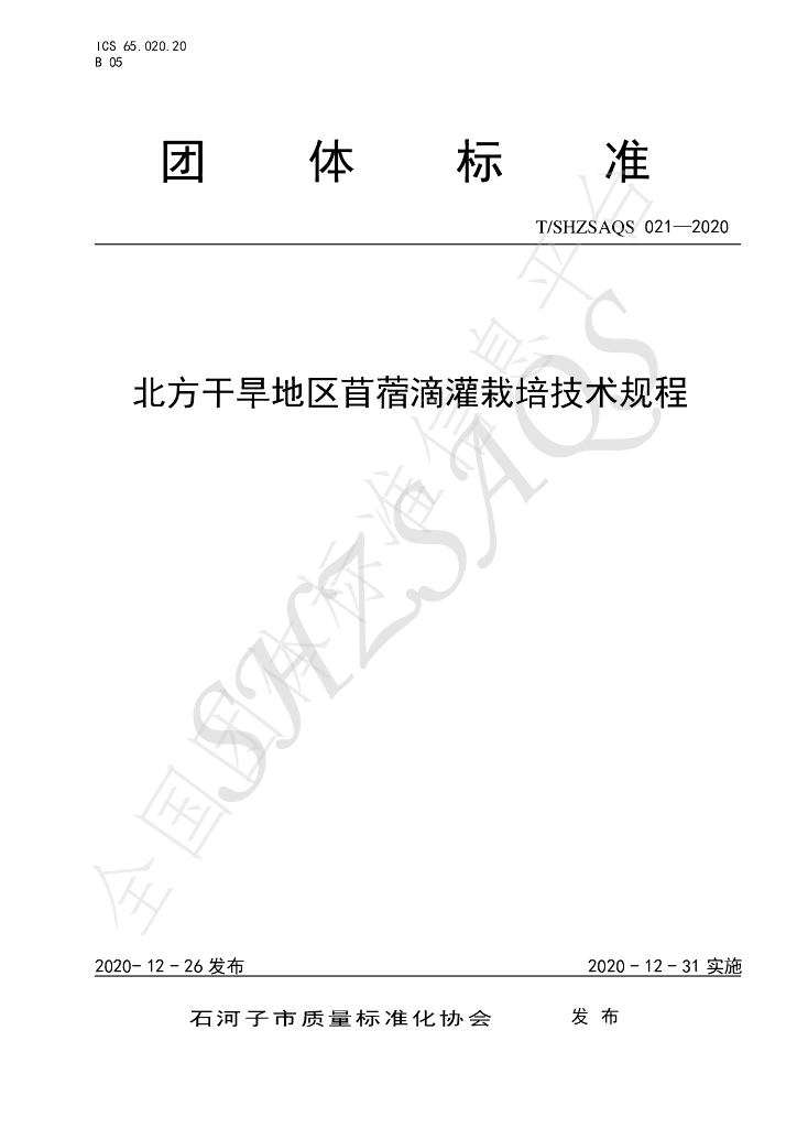 T/SHZSAQS 021-2020 标准预览