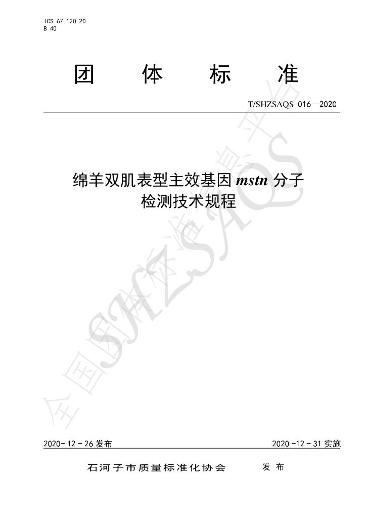 T/SHZSAQS 016-2020 标准预览