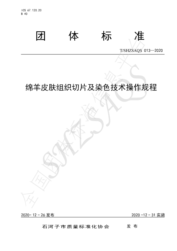 T/SHZSAQS 013-2020 标准预览