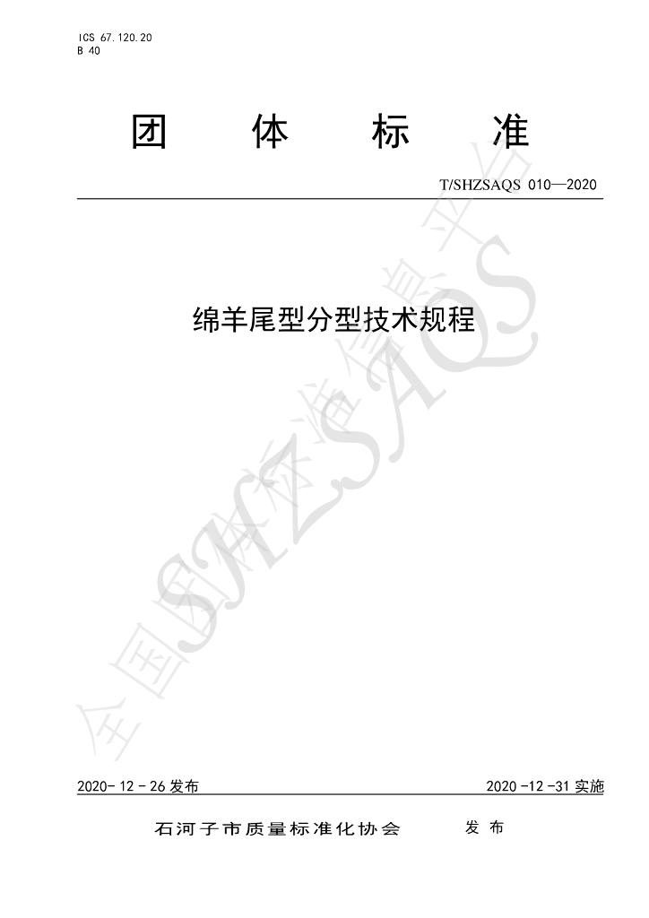 T/SHZSAQS 010-2020 标准预览