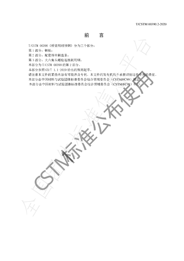 T/CSTM 00390.2-2020 标准预览