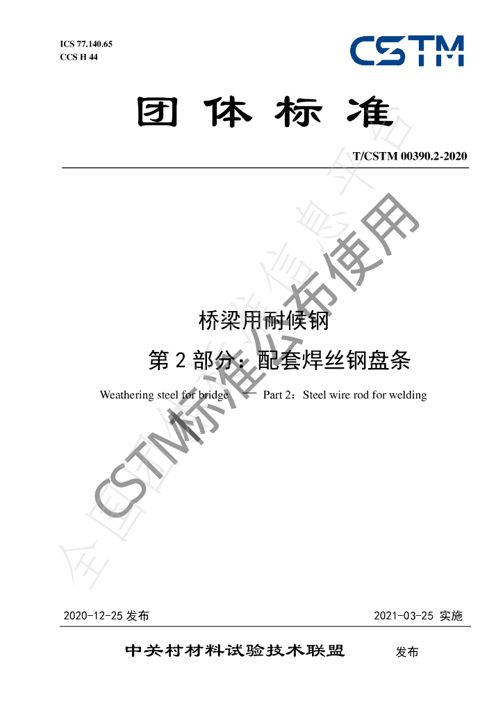 T/CSTM 00390.2-2020 标准预览