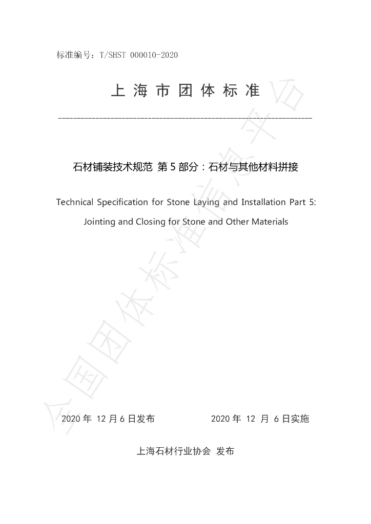 T/SHST 000010-2020 标准预览