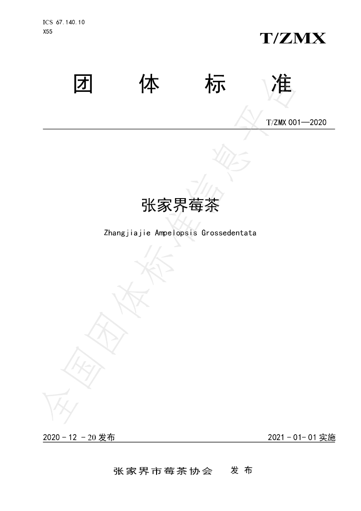 T/ZMX 001-2020 标准预览