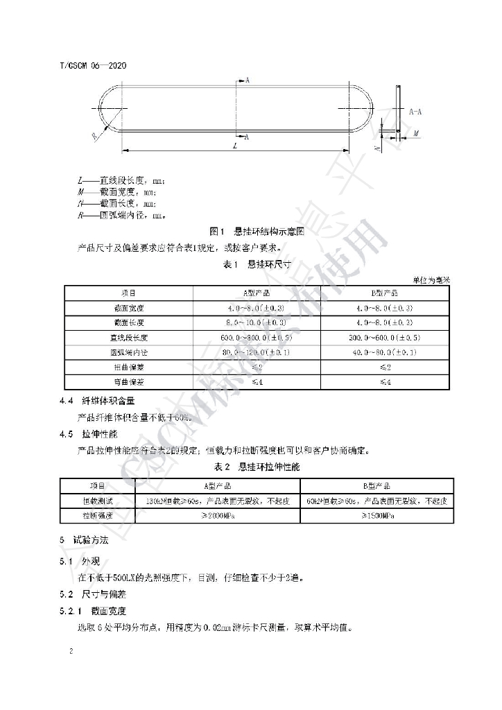 T/CSCM 06-2020 标准预览