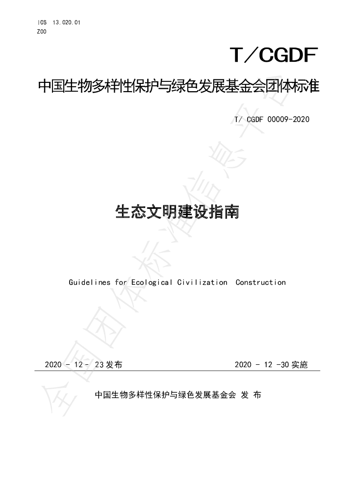 T/CGDF 00009-2020 标准预览