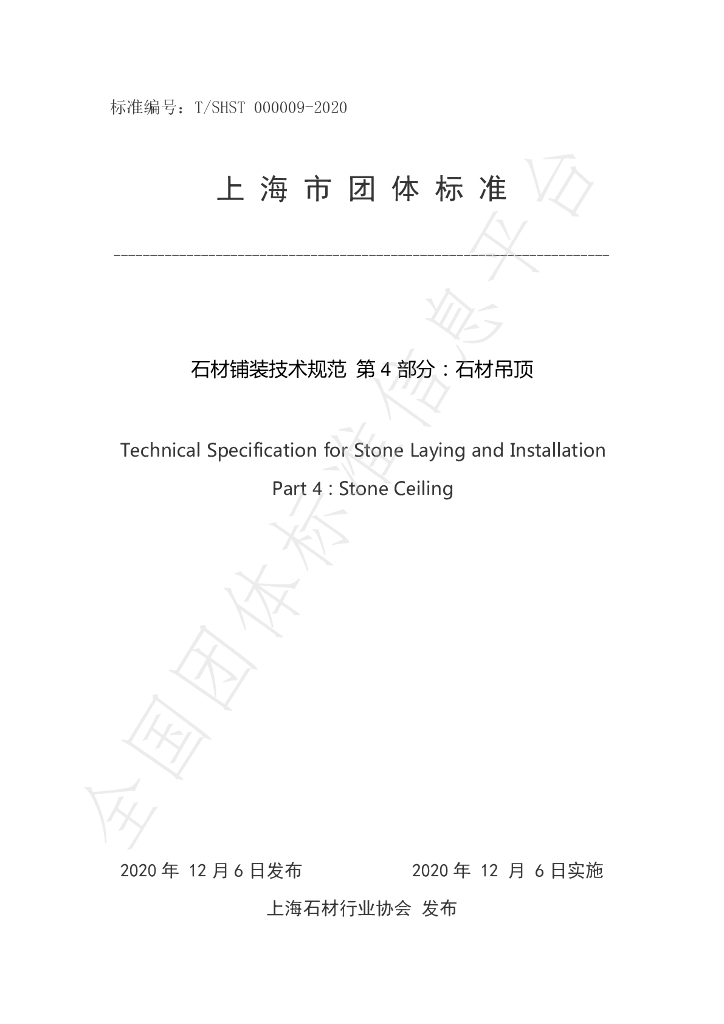 T/SHST 000009-2020 标准预览