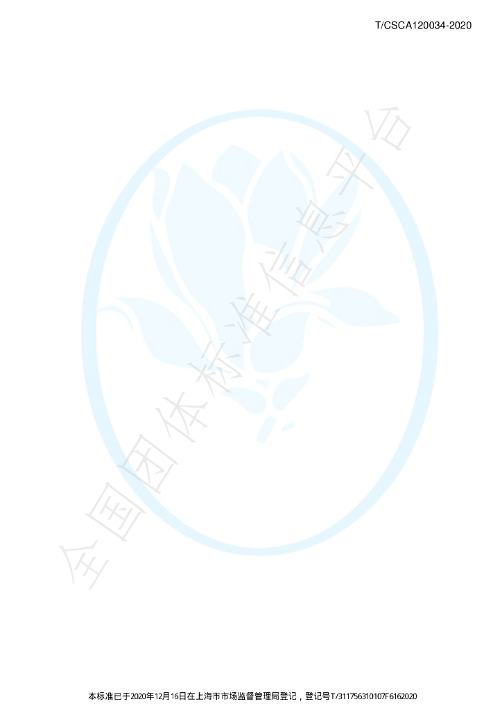 T/CSCA 120034-2020 标准预览
