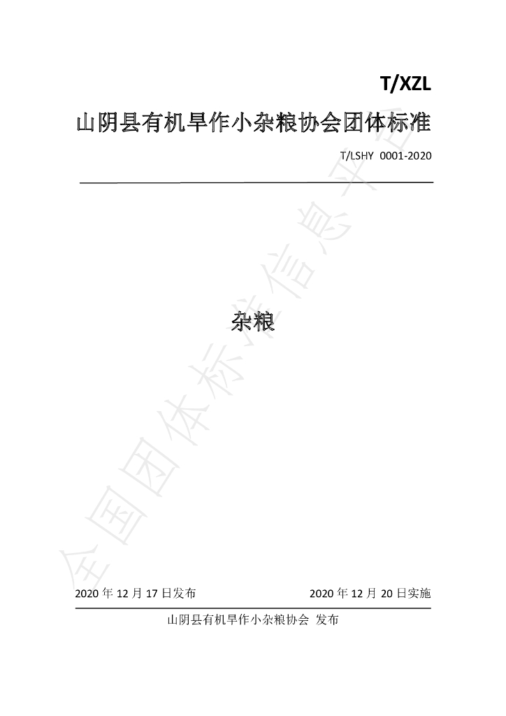 T/XZL 0001-2020 标准预览