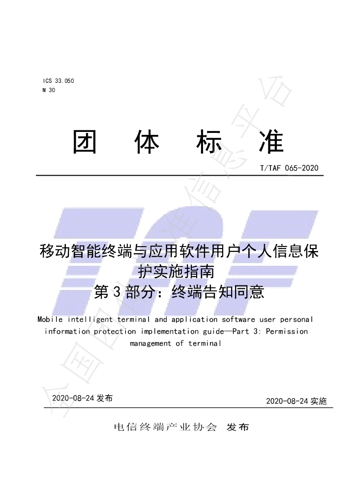 T/TAF 065-2020 标准预览