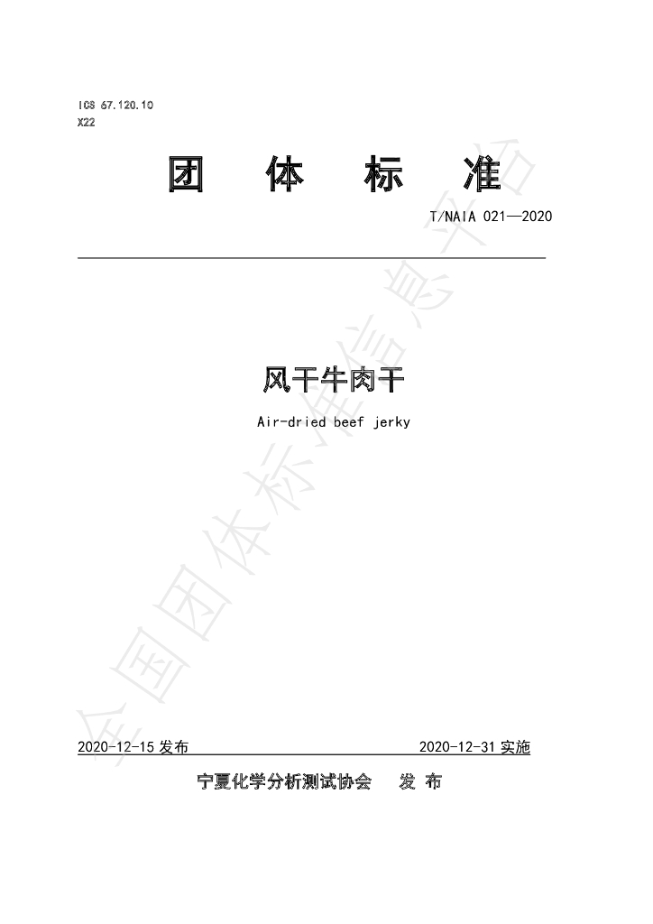 T/NAIA 021-2020 标准预览