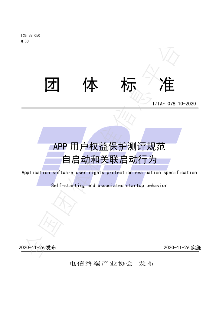 T/TAF 078.10-2020 标准预览