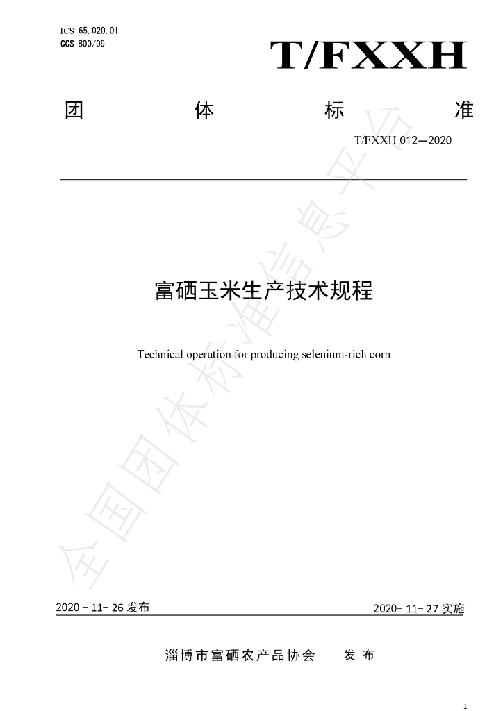 T/FXXH 012-2020 标准预览
