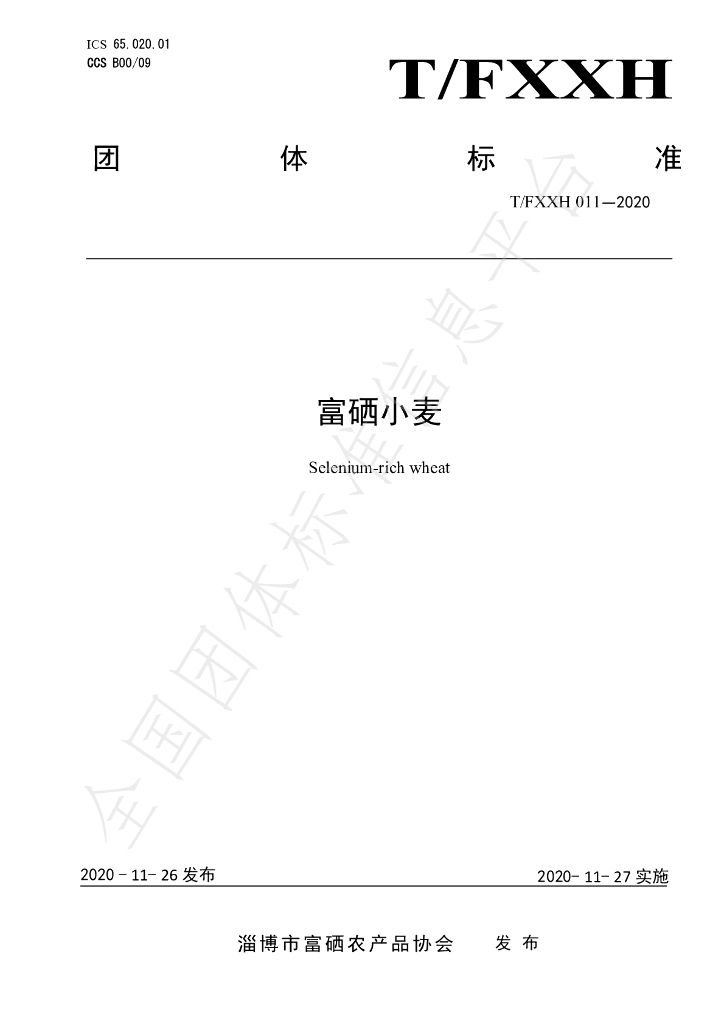 T/FXXH 011-2020 标准预览