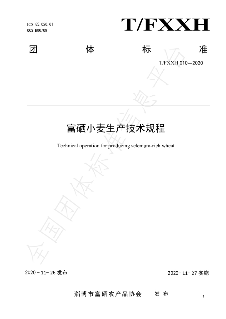 T/FXXH 010-2020 标准预览
