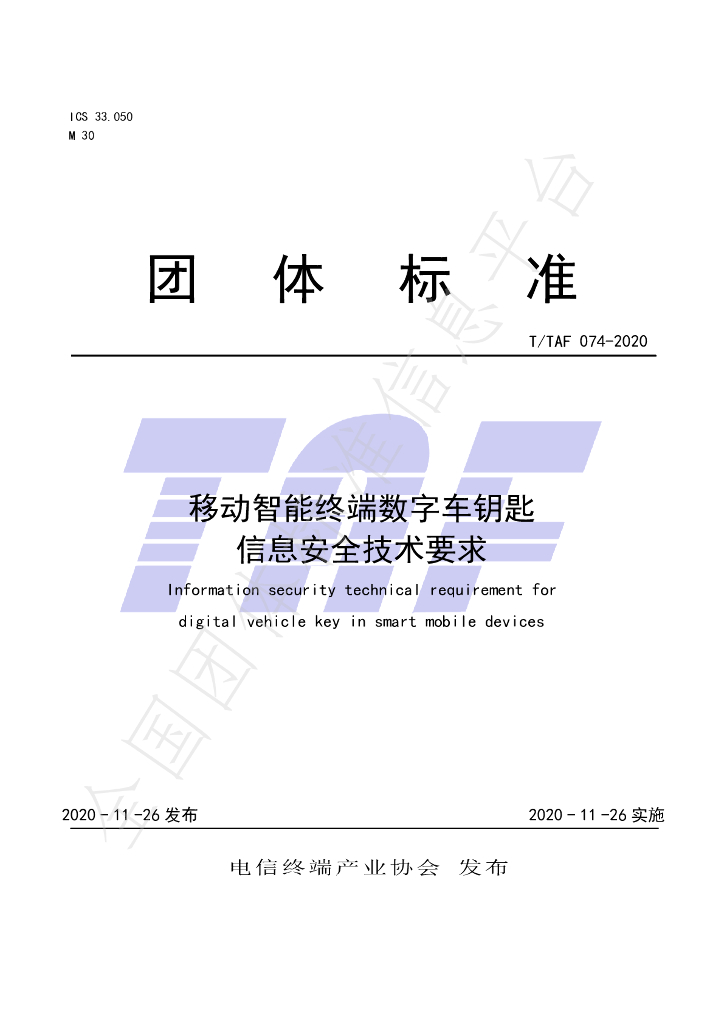 T/TAF 074-2020 标准预览