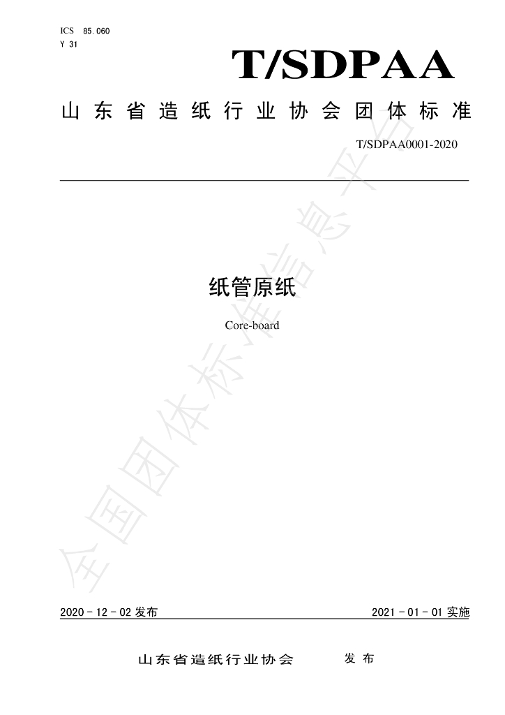 T/SDPAA 0001-2020 标准预览
