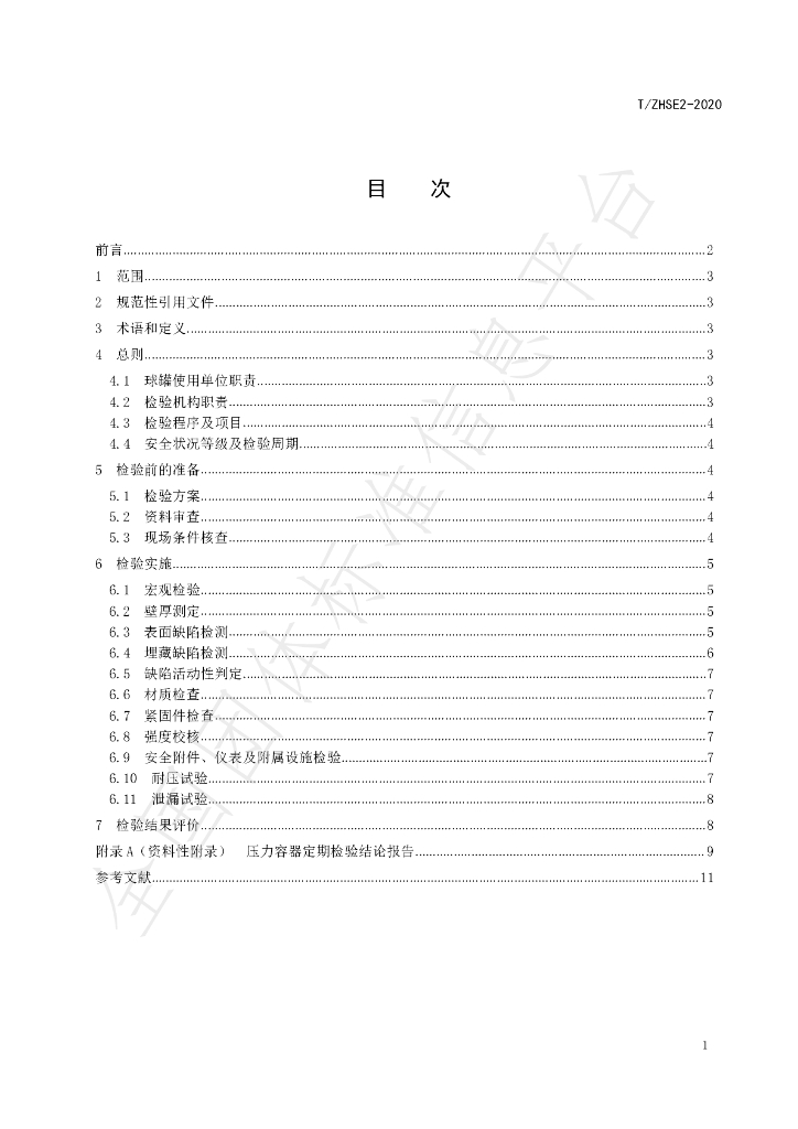 T/ZHSE 2-2020 标准预览