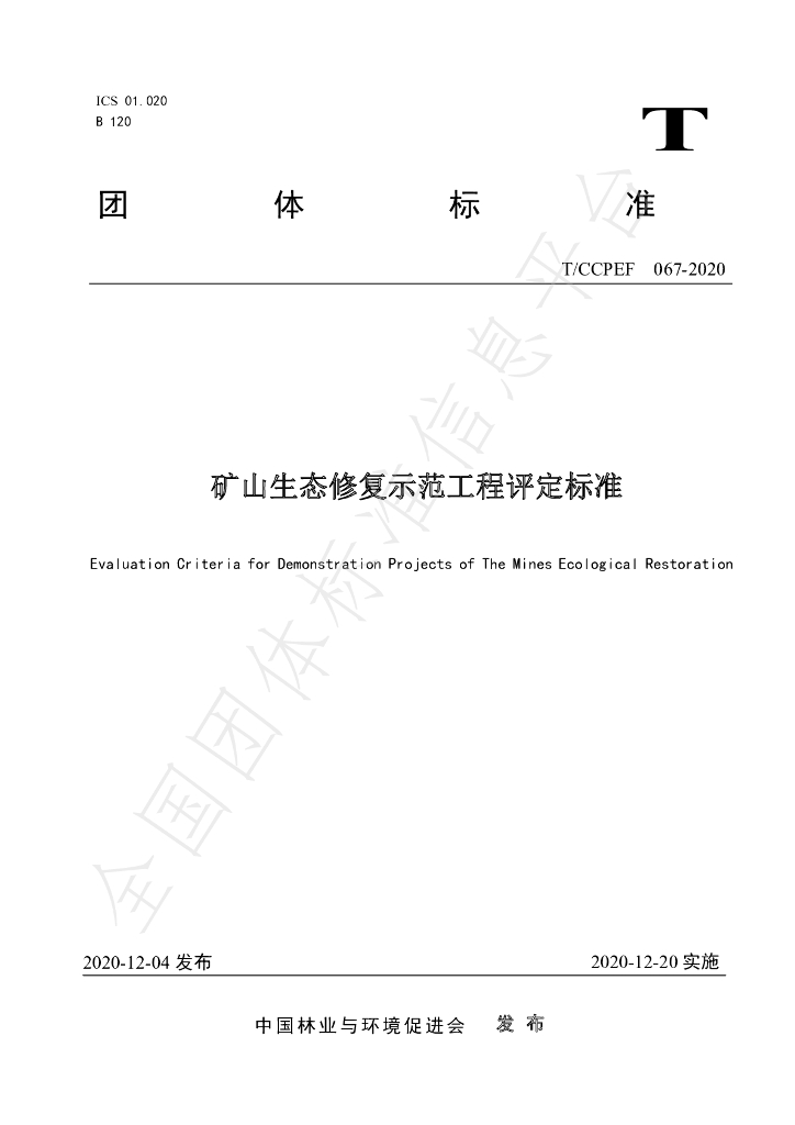 T/CCPEF 067-2020 标准预览